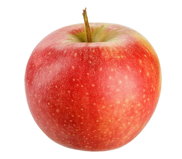 Manzana roja para un diseño de estilo de vida saludable Aislado en White Backgr —  Fotos de Stock