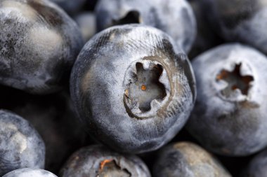 taze yaban mersini aldı