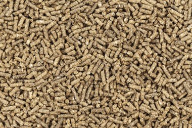 kuru evde beslenen hayvan yiyecek