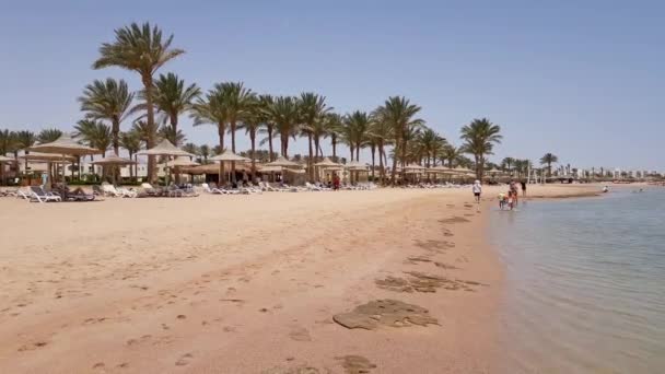 Playa de mar con palmeras — Vídeo de stock