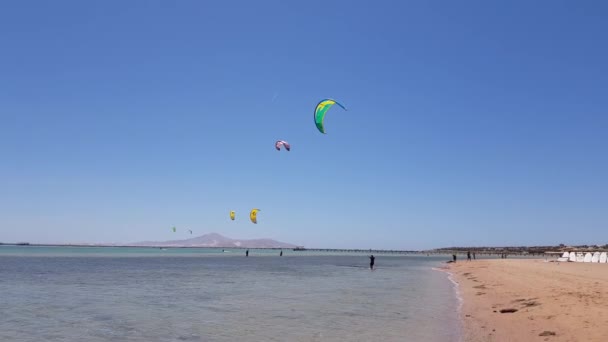 风筝冲浪者在海里航行 — 图库视频影像