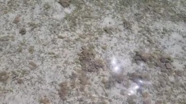 su yoluyla kumlu deniz dibi