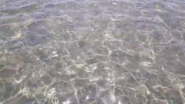 Acqua di mare pulita vicino alla costa — Video Stock