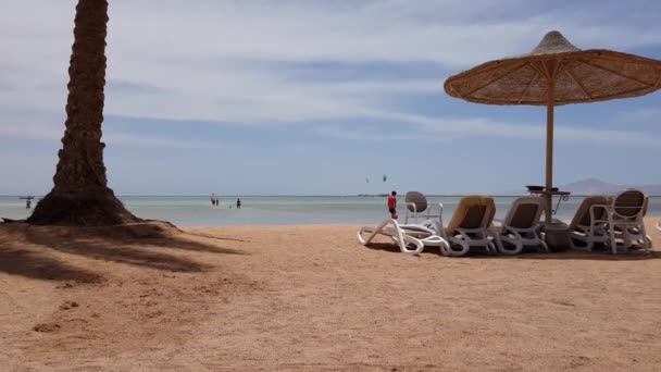 Silla de cubierta junto al mar cerca de una palmera — Vídeos de Stock