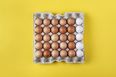 Karton tepside tavuk yumurtası