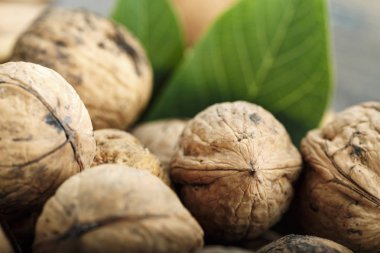 masada ceviz hasadı