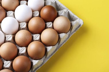 metin için tavuk yumurtası yer