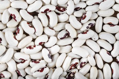 Arkaplan olarak beyaz fasulye