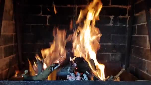 High flame burns in the fireplace. — Stock Video