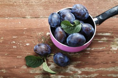 hasat erik üst görünümü