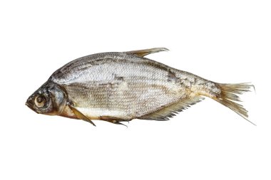 kurutulmuş balık koç