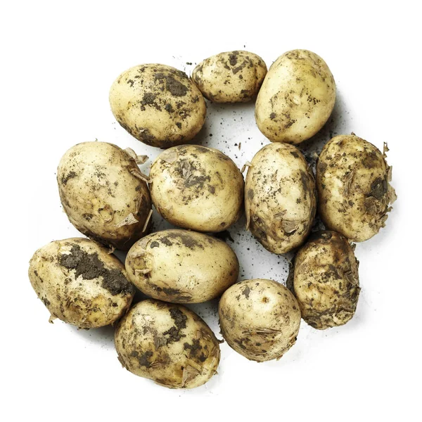 Młode ziemniaki pęczek na białym tle — Zdjęcie stockowe