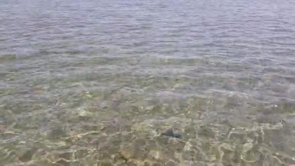 eau de mer claire au large des côtes .