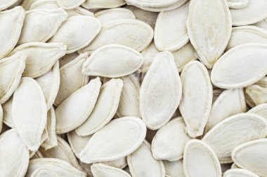 Arka plan olarak kabak çekirdeği