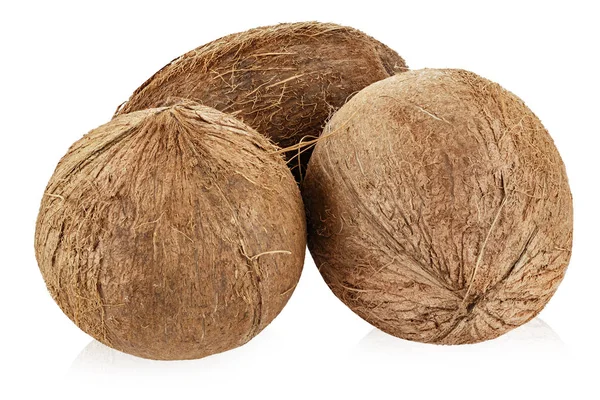 Dos cocos enteros aislados — Foto de Stock