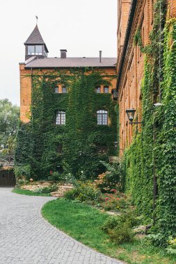 Güzel şato Radomyshl