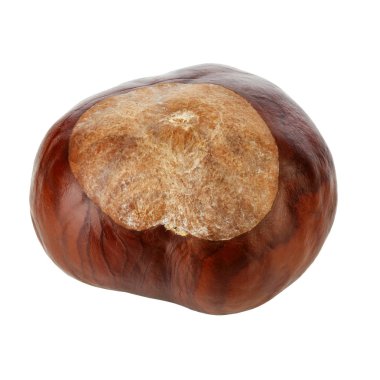 kestane kırpma yolu