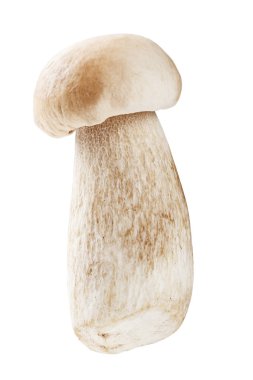 izole çörek mantarı