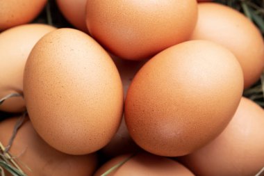 Organik Çiftlik Kahverengi Tavuk Yumurtaları Kapanışı. Yumurta kabuğu rengi açıkça görülüyor.