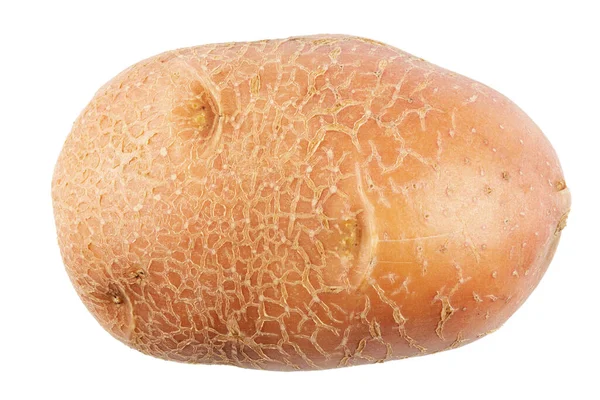 Jonge Aardappel Geïsoleerd Een Witte Achtergrond Textuur Van Schil Duidelijk — Stockfoto