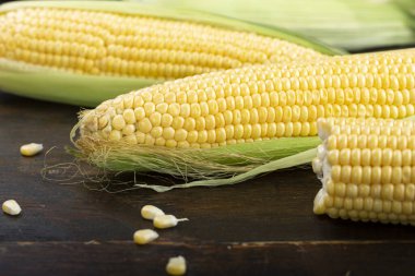 Kırsal ahşap masadaki koçanlarda taze mısır, yakın plan..