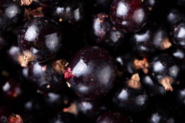 Siyah üzümlü üst manzara. Sağlıklı beslenme.