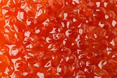 Somon havyarı yakın plan, mesaj için yer. Faydalı bir lezzet. Havyar taneleri açıkça görülüyor.