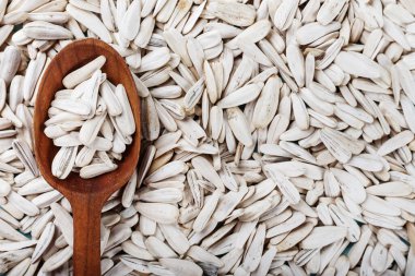 Beyaz ayçiçeği tohumları arka plan olarak serpilmiştir. Tohumların üzerinde bir tahta kaşık yatıyor. tex için yer