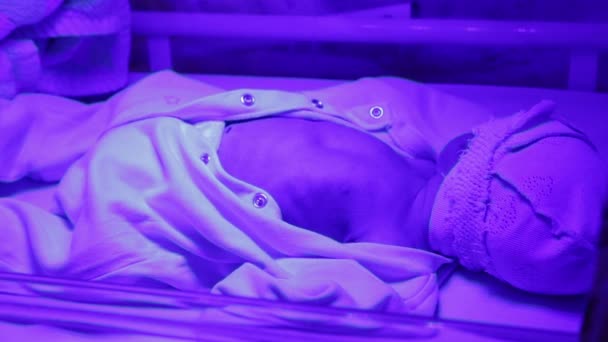 Новорожденный под ультрафиолетовой лампой. — стоковое видео