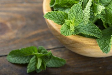 Ahşap masada yeşil taze nane. Seçici odak.