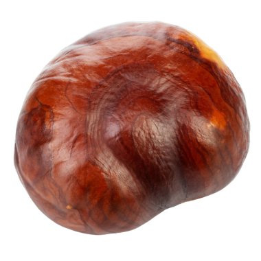 Kestane rengi beyaz arka planda izole edilmiş. Dosya kırpma yolu içeriyor.