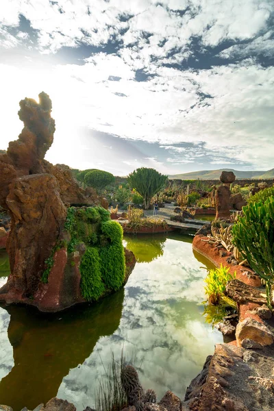 スペインのランサローテ 2019年2月 建築家シーザー マンリケによって作成されたランサローテの熱帯サボテンの庭 — ストック写真