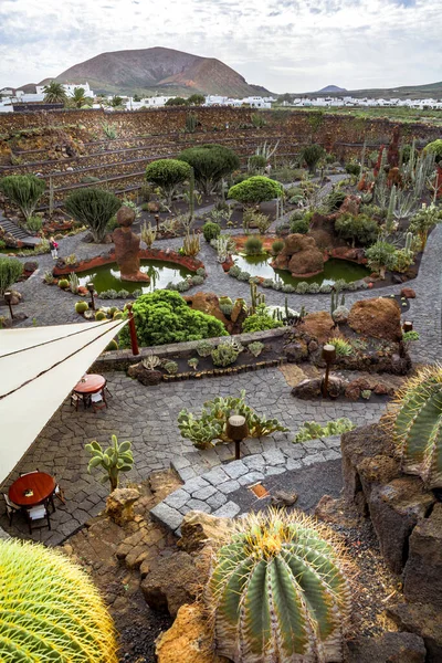 Lanzarote Spain Circa February 2019 Tropical Cactus Garden Lanzarote Created — Stockfoto