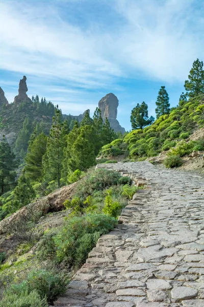 Weg Zum Roque Nublo Auf Gran Canaria Kanarische Inseln Mit — Stockfoto