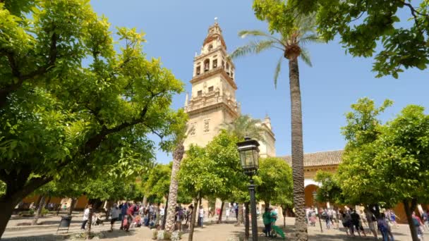 Kordoba Hiszpanie Około Maja 2018 Turyści Odwiedzający Patio Los Naranjos — Wideo stockowe
