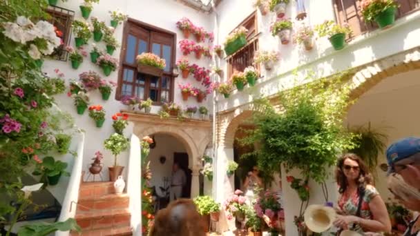 Cordoba Spanien Mai 2018 Besucher Den Höfen Während Des Traditionellen — Stockvideo