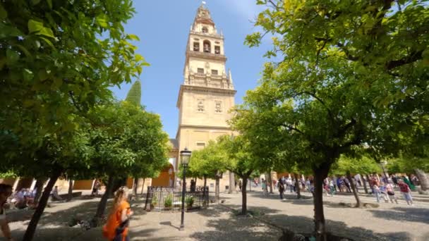 科尔多瓦 Spain 2018年5月 参观Patio Los Naranjos的游客 Patio Los Naranjos是清真寺 大教堂旁边的一个桔树花园 — 图库视频影像