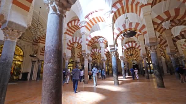 Cordoba Spagna Circa Giugno 2018 Vista Interna Della Cattedrale Della — Video Stock