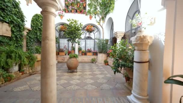 Cordoba Spanien Mai 2018 Ein Traditioneller Innenhof Während Des Beliebten — Stockvideo