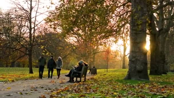 Άνθρωποι σε ένα πάρκο το φθινόπωρο στο ηλιοβασίλεμα — Αρχείο Βίντεο