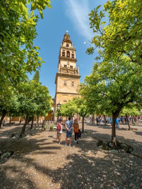 Cordoba, İspanya. Mayıs 2018. Cami-Katedral 'in yanındaki portakal bahçesi Patio de los naranjos' u ziyaret eden turistler. Torre del campanarios (Çan kulesi) arka planda.