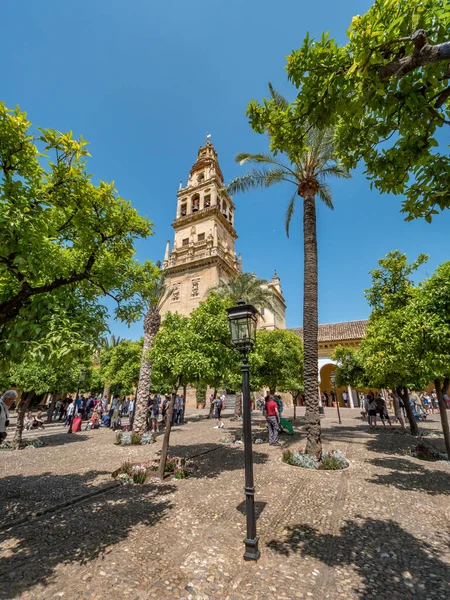 Кордова Испания Около Мая 2018 Года Туристы Посещают Патио Лос — стоковое фото