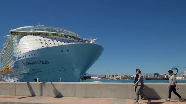 西班牙马拉加 2018年8月 人们在阳光灿烂的日子参观马拉加港的一艘大型游轮 — 图库视频影像