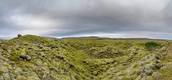 Panorama Vista Tapete Musgo Almíscar Líquen Sobre Campos Lava Islândia — Fotografia de Stock