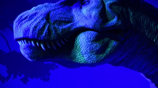 Close-up van een Tyrannosaurus in het Natuurhistorisch Museum — Stockvideo