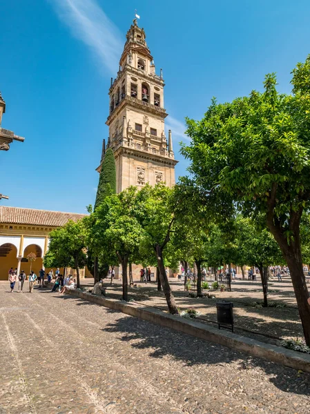 Cordoba Spanyolország 2018 Május Körül Turisták Látogató Patio Los Naranjos — Stock Fotó