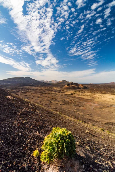 Beautiful Landscape Volcano Cuervo Lanzarote Canary Islands Spain — Stockfoto