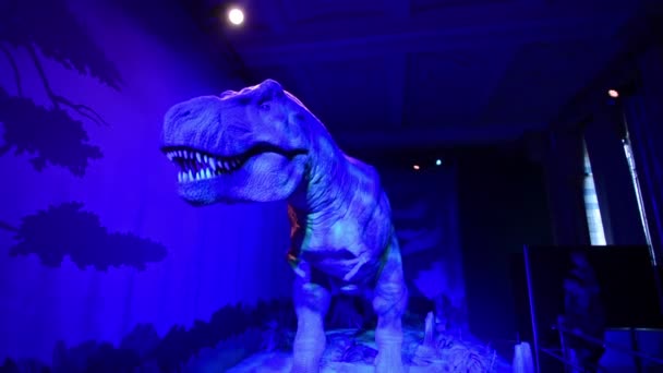 Gros Plan Tyrannosaure Dans Musée Histoire Naturelle — Video