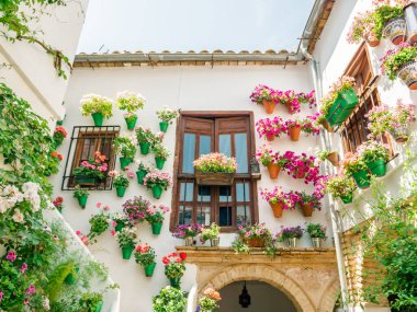 İspanya 'nın Cordoba kentindeki Patios' un popüler çiçek festivali sırasında geleneksel bir avlu