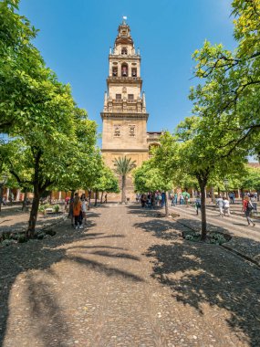 Cordoba, İspanya. Mayıs 2018. Cami-Katedral 'in yanındaki portakal bahçesi Patio de los naranjos' u ziyaret eden turistler. Torre del campanarios (Çan kulesi) arka planda.